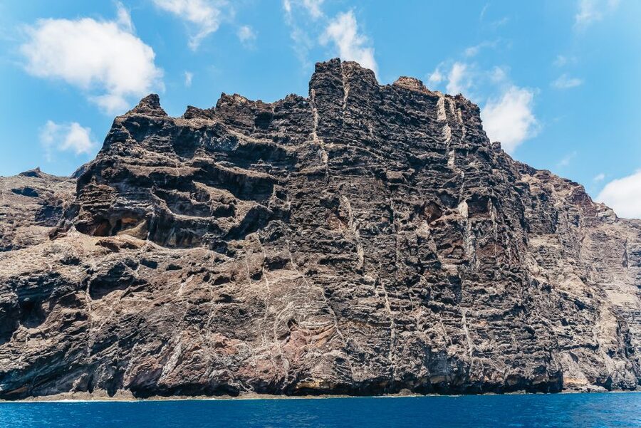 Costa Adeje: Masca and Los Gigantes Whale Watching Cruise - Price and value: is $71 a good deal for this day?