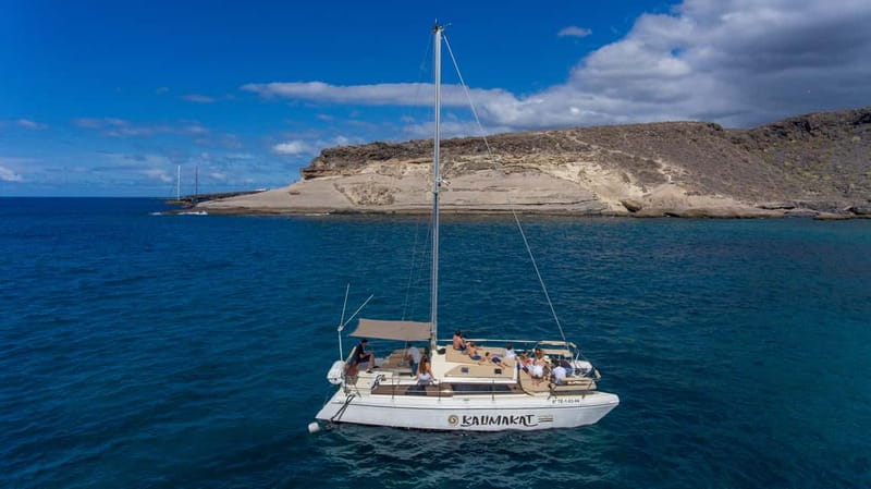 Costa Adeje: Private Catamaran Tour 22 Persons Max - Key Things That Make This Costa Adeje Catamaran Tour Worth It