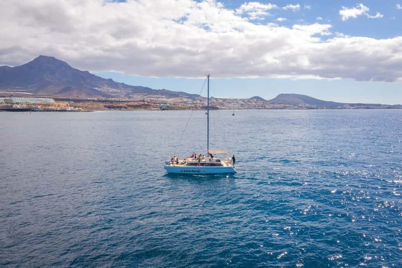 Costa Adeje: Private Catamaran Tour 22 Persons Max - When the Boat Stops: Solarium Time, Anchoring, and Getting in the Water