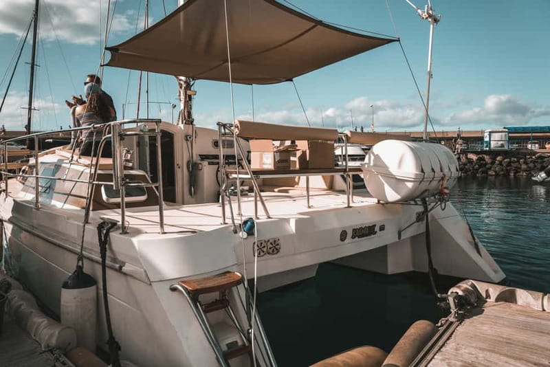 Costa Adeje: Private Catamaran Tour 22 Persons Max - The South Coast From Offshore: Duque, Fañabé, Las Américas, and Troya