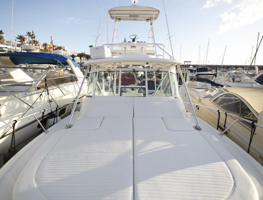 Costa Adeje: Private Yacht Sailing Tour from Puerto Colón - Swim stops and a secluded beach moment in the turquoise water