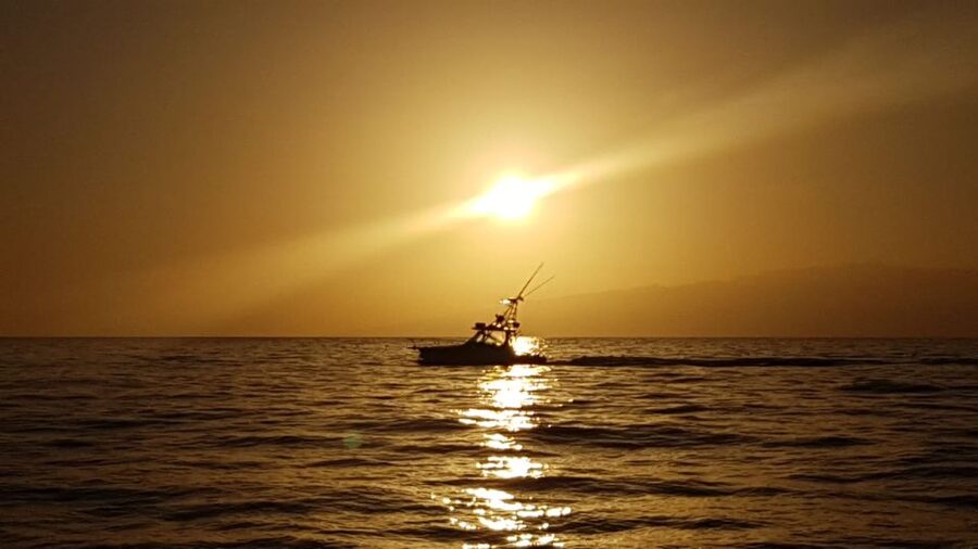 Costa Adeje: Private Yacht Sailing Tour from Puerto Colón - Food and drinks on board: snacks, brunch boxes, and why it matters at sea