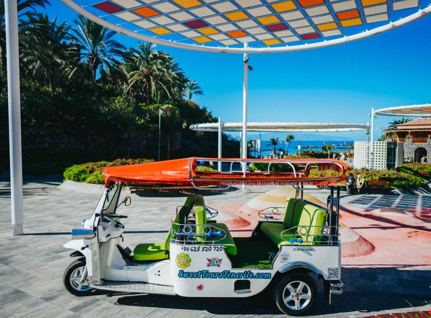 Costa Adeje: Tuk Tuk Tour - Oasis Del Duque and the Art of Going From Fancy to Local