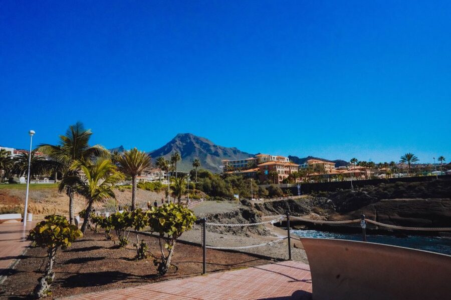 Costa Adeje: Tuk Tuk Tour - Let the Guide Help You Eat Like a Local