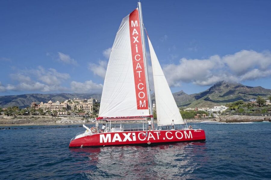 Costa Adeje: Whale and Dolphin Cruise with Food and Pickup - Key points at a glance