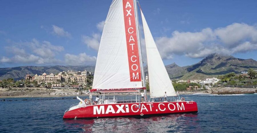 Costa Adeje: Whale and Dolphin Cruise with Food and Pickup - On board with MAXICAT: food, drinks, and the crew vibe