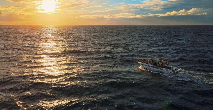 Costa Adeje: Whale and Dolphin-Watching Boat Excursion - Small-boat whale watching: why 18 passengers matters