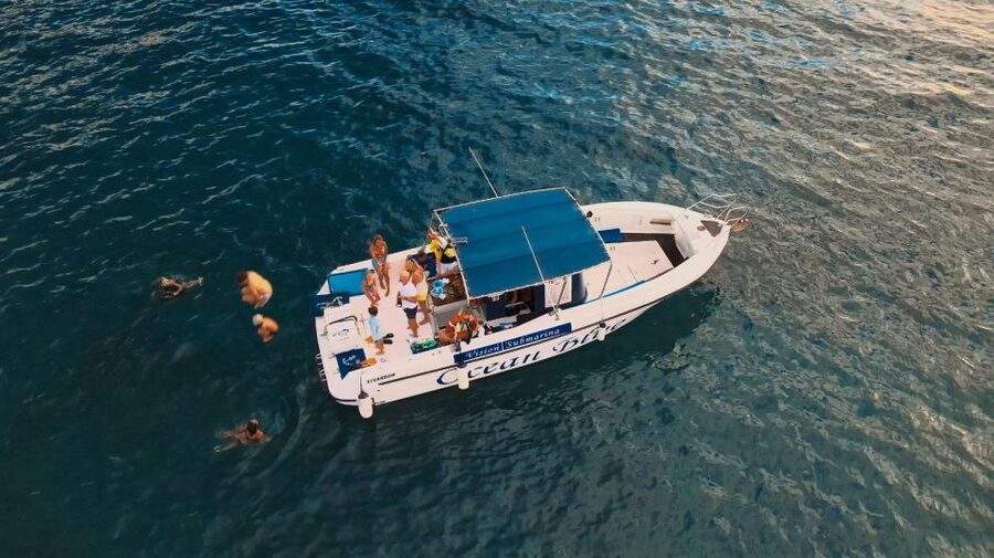 Costa Adeje: Whale and Dolphin-Watching Boat Excursion - Captain and guide: safety, spotting, and real personality