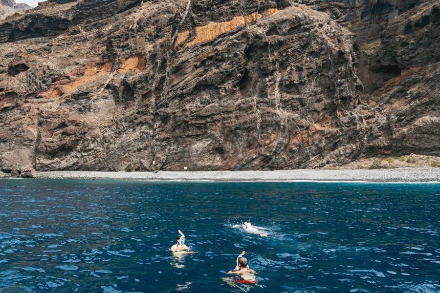 Costa Adeje: Whale & Dolphin Eco-Cruise with Snacks & Drinks - Key Things I’d Watch For on This Costa Adeje Eco-Cruise