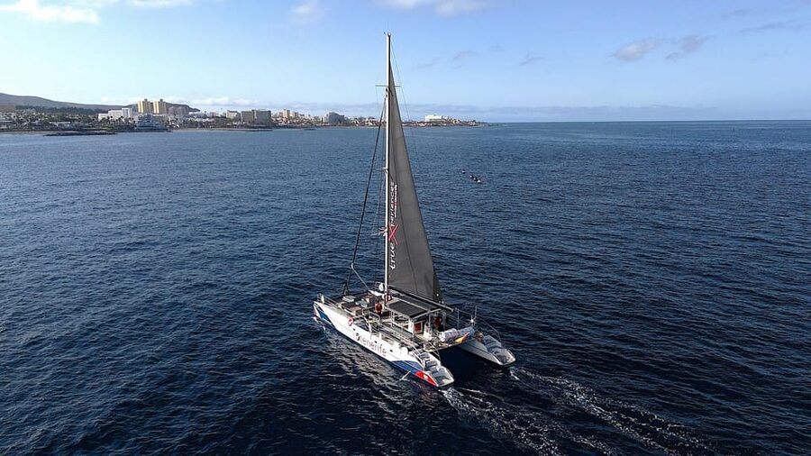 Costa Adeje: Whale & Dolphin Eco-Cruise with Snacks & Drinks - Comfort, Seasickness, and Packing the Right Stuff