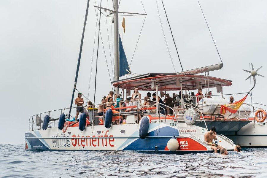 Costa Adeje: Whale & Dolphin Eco-Cruise with Snacks & Drinks - Teno-Rasca Whale Sanctuary: How the Spotting Really Works