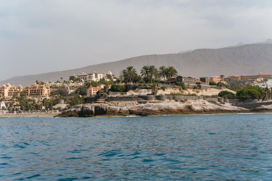 Costa Adeje: Whale & Dolphin Eco-Cruise with Snacks & Drinks - Underwater Sound Equipment: The Eerie Part You Actually Remember