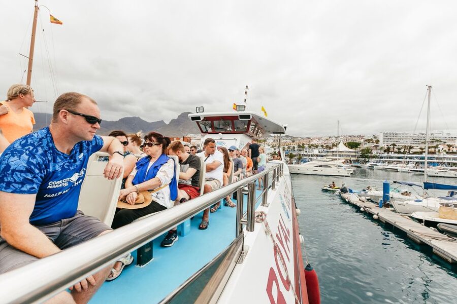 Costa Adeje: Whale & Dolphin Submarine Vision Mini Cruise - Value for money: what $35 buys you in the real world