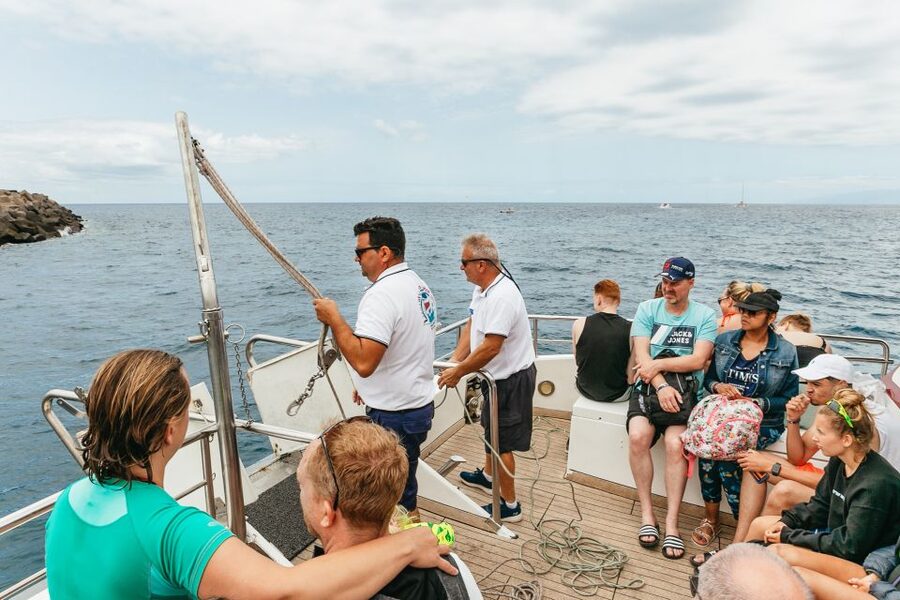 Costa Adeje: Whale & Dolphin Submarine Vision Mini Cruise - Seasickness and motion: your main practical risk