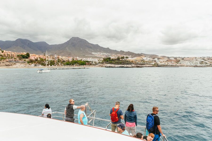 Costa Adeje: Whale & Dolphin Submarine Vision Mini Cruise - The underwater windows: why this boat feels different
