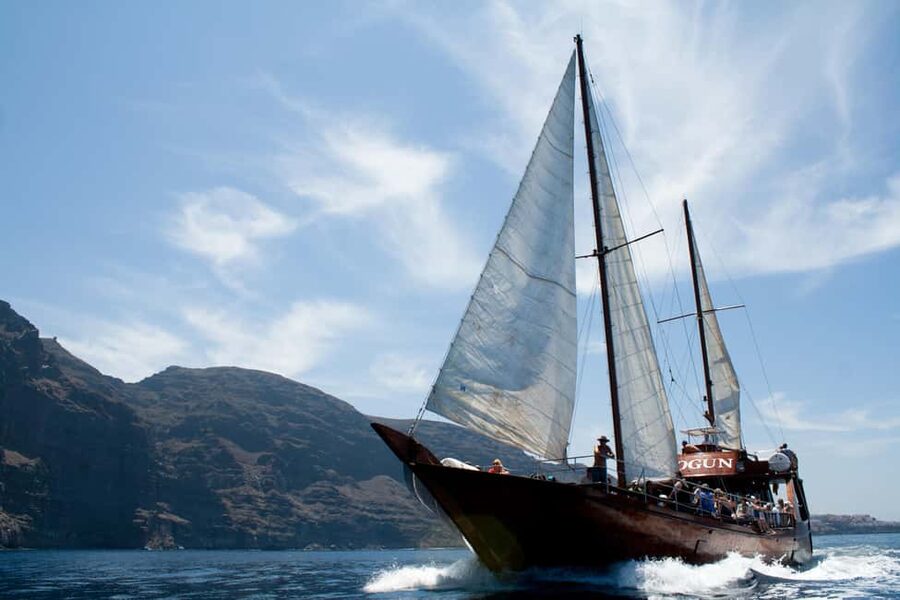 Costa Adeje: Whale & Dolphin Watching Cruise with Swim - Key things that make this cruise worth your time