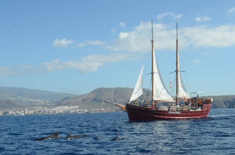 Costa Adeje: Whale & Dolphin Watching Cruise with Swim - Rules that affect your day on the water