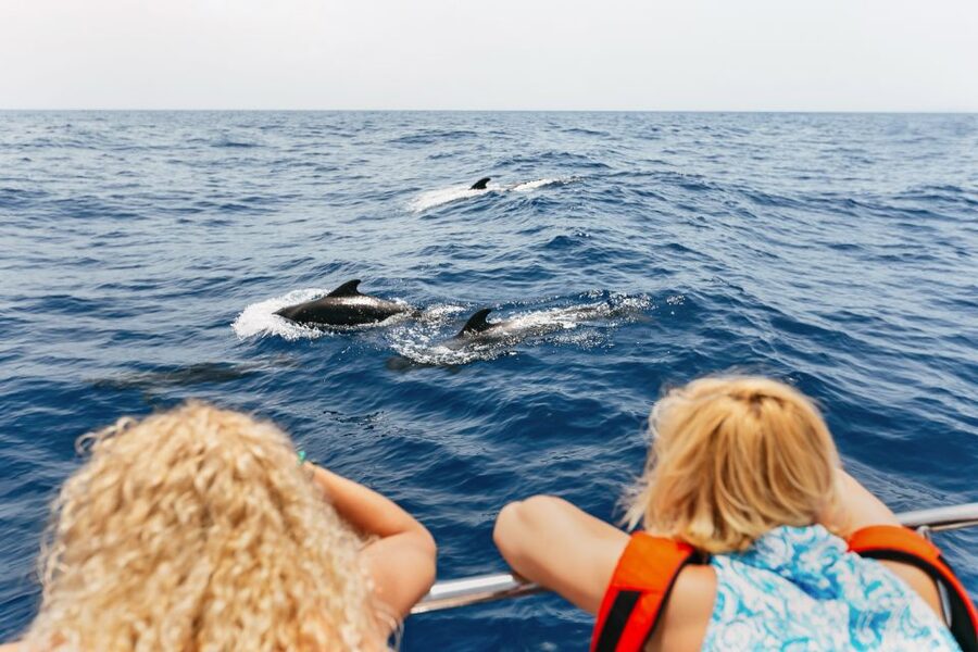 Costa Adeje: Whale Watching Catamaran Tour with Drinks - Quick take: what makes this Costa Adeje whale watching stand out