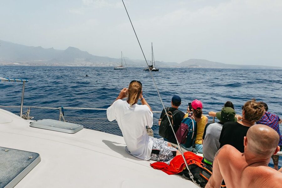 Costa Adeje: Whale Watching Catamaran Tour with Drinks - Playa Espagueti in the 3-hour option: snorkeling, but with honest expectations