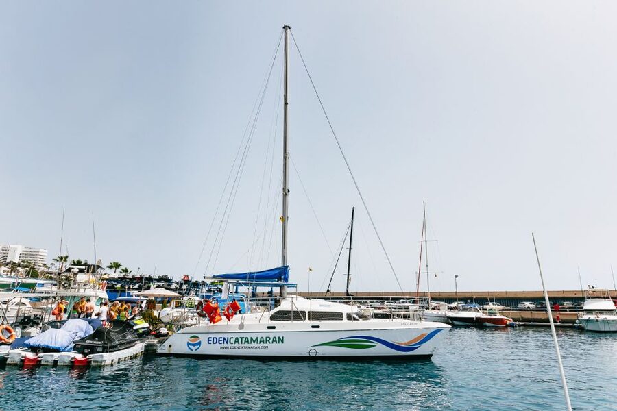 Costa Adeje: Whale Watching Catamaran Tour with Drinks - Boat comfort and sea-sickness reality on Tenerife