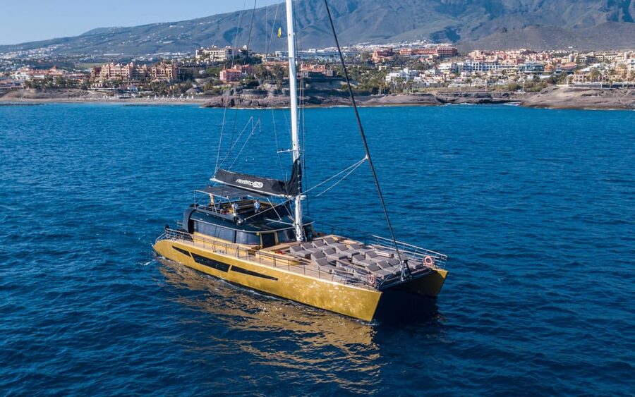 Costa Adeje: Whale Watching Cruise - The Route Out to the Atlantic: Where Pilot Whales and Dolphins Show Up