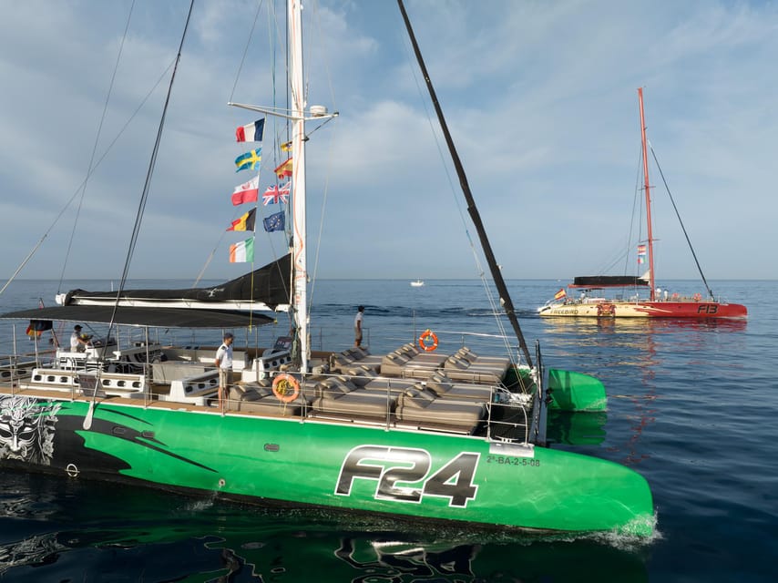 Costa Adeje: Whale Watching Cruise - Spotting Wildlife: How the Watch Usually Feels on Board