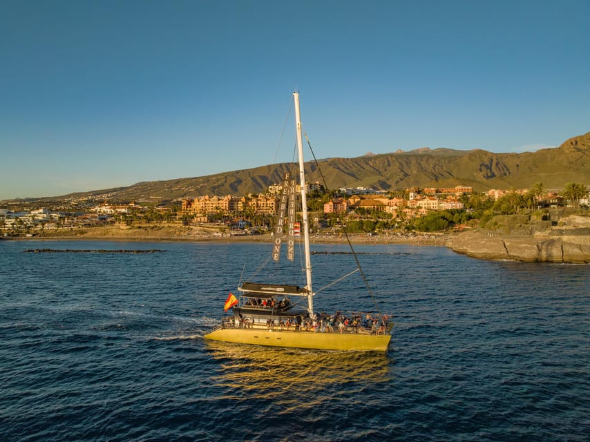 Costa Adeje: Whale Watching Cruise - On Board Comfort: Catamaran Layout, Snacks, and Included Drinks