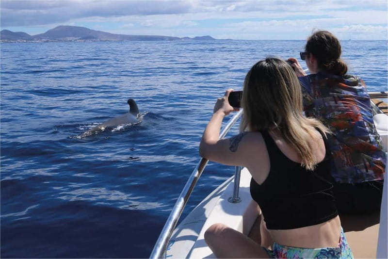 Costa Adeje: Whale Watching Eco Experience with Hydrophone. - Key Highlights You’ll Actually Care About