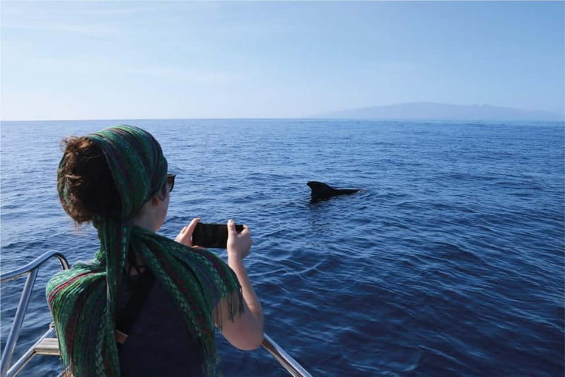 Costa Adeje: Whale Watching Eco Experience with Hydrophone. - What a 2.5-Hour Experience Feels Like (and How You Should Prepare)