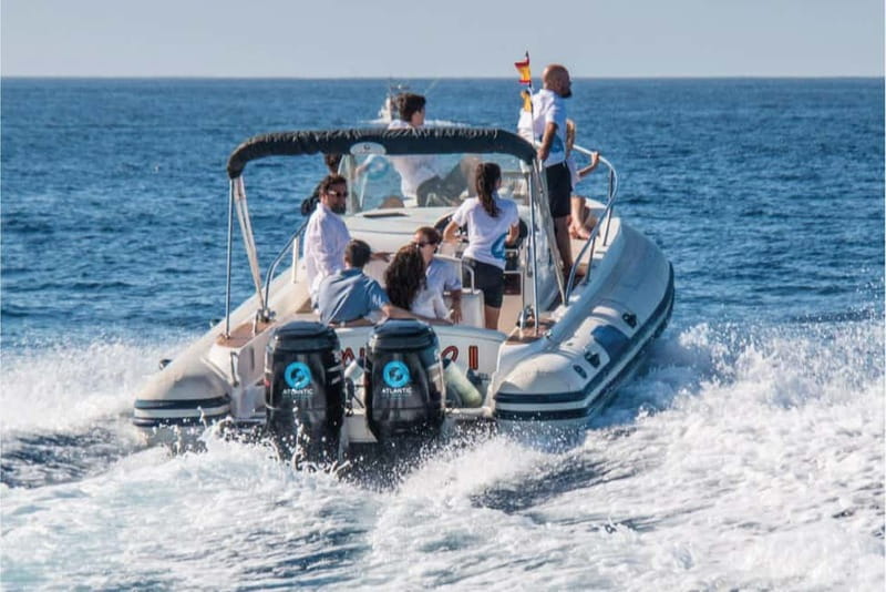 Costa Adeje: Whale Watching Eco Experience with Hydrophone. - Hydrophone 101: Listening to Whales and Dolphins Underwater