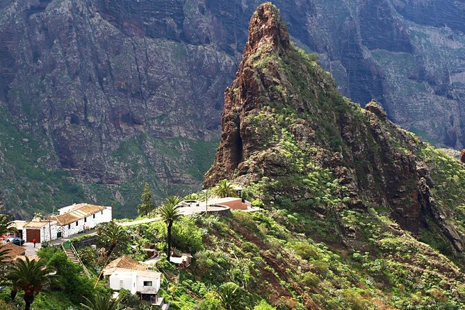 Custom Private Tenerife Full Island VIP Tour - photos included - Cruise-ship logistics in Santa Cruz: getting on and off without stress