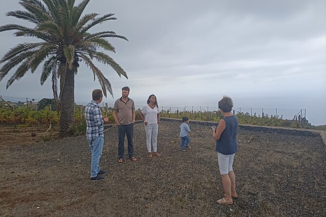 Custom Private Tenerife Full Island VIP Tour - photos included - Playa de las Teresitas: the Sahara-sand beach that’s calmer than you expect