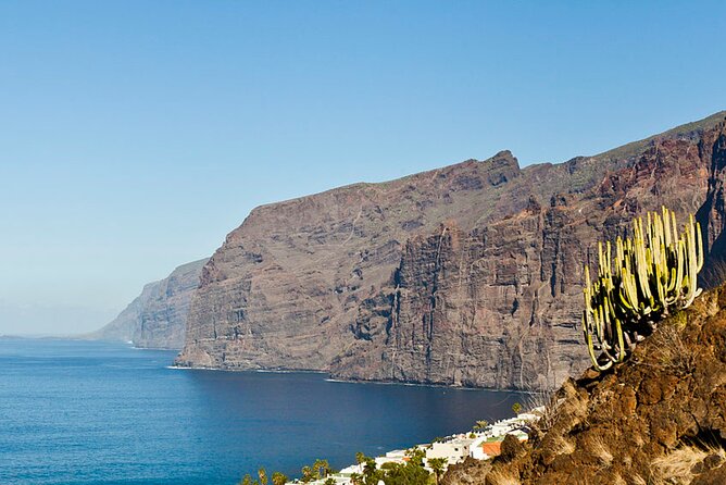 Day Tour with Official Guide Around the Island of Tenerife - Stop 1: Acantilado de los Gigantes for Immediate Wow