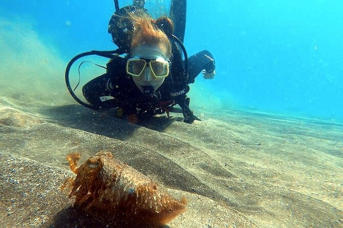 Discover beginner diving in Tenerife - Should you book this beginner scuba session in Tenerife?
