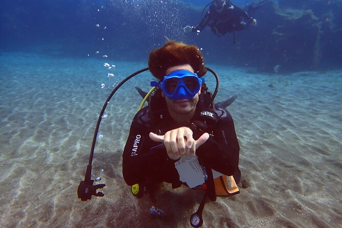 Discover beginner diving in Tenerife - Where you start: the Abades meeting point and how to arrive
