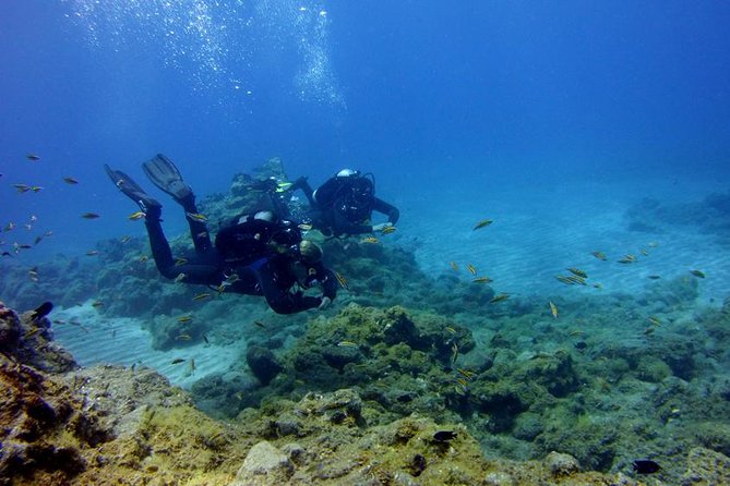 Discover Scuba Diving Adventure in Tenerife - Key things you’ll notice right away