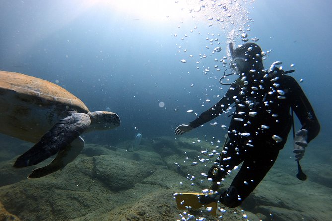 Discover Scuba Diving Experience in Turtle Habitat - The short walk and the speedboat ride from Puerto Colón