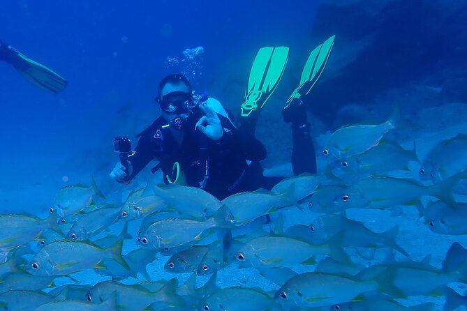 Discover Scuba Diving . First Experience underwater - Underwater Time and the Marine Life You Can Expect