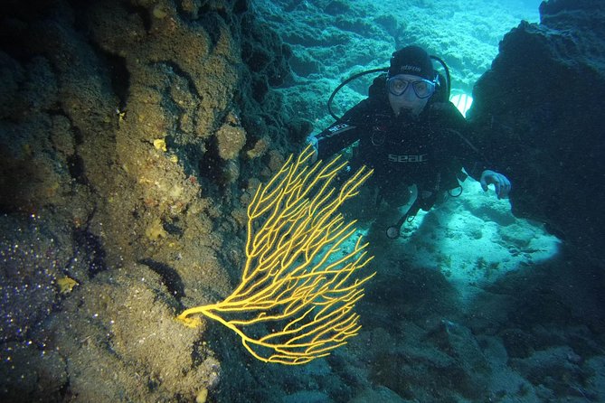 DISCOVER SCUBA DIVING - First step to your certification - Key highlights that matter before you go