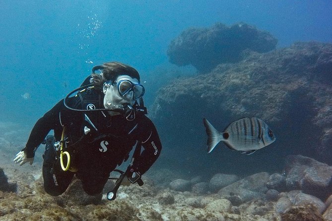 DISCOVER SCUBA DIVING - First step to your certification - A calm first step with PADI Discover Scuba in Tenerife