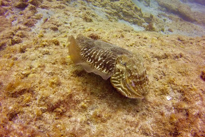 DISCOVER SCUBA DIVING - First step to your certification - Price and value: what you’re really paying for