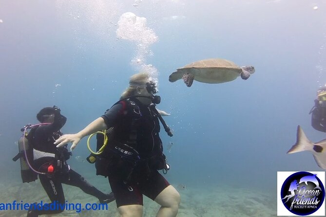 Discover Scuba Diving, free pictures included - Price and value: is $95.03 fair for this setup?