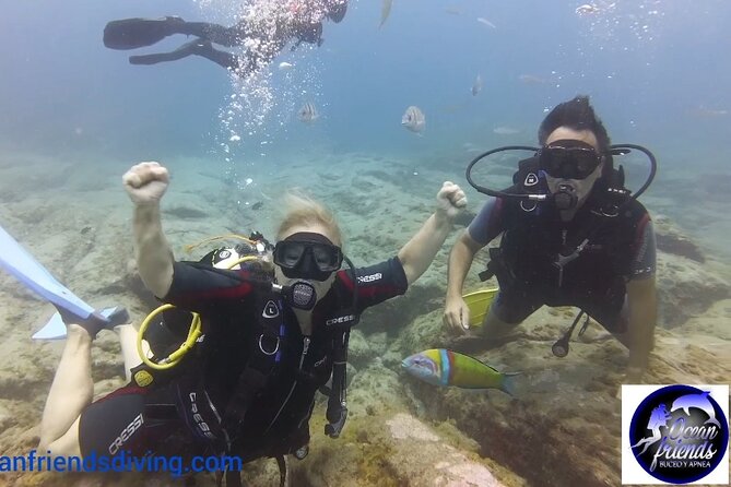 Discover Scuba Diving, free pictures included - Should you book Discover Scuba with Ocean Friends Buceo y Apnea-Freediving?