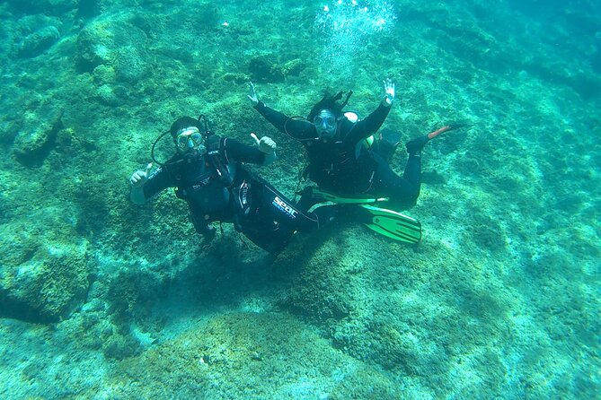 Discover Scuba Diving in Tenerife - Private group in Tenerife: what “group only” means for your experience