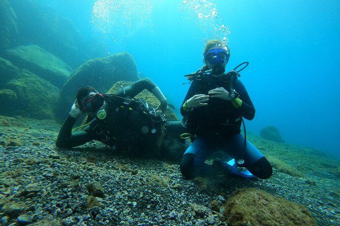 Discover Scuba Diving in Tenerife - What you’ll see in the bay of La Caleta (and how to set expectations)