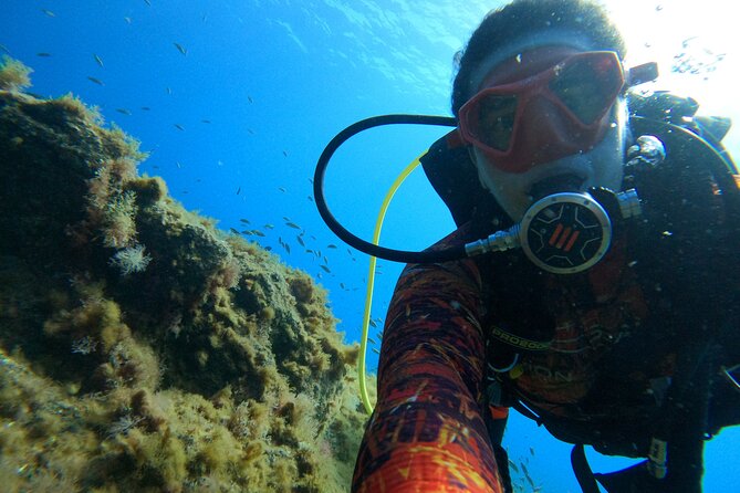 Discover Scuba Diving in Tenerife - Photos and videos: why this is worth budgeting for
