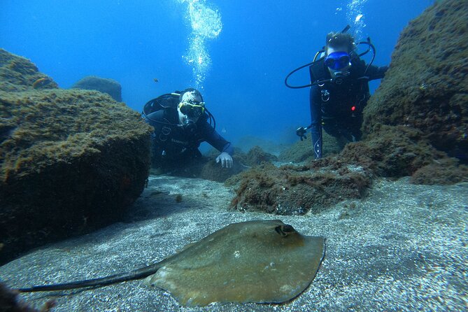 Discover Scuba Diving in Tenerife - Weather rules and the 12-hour flight reminder