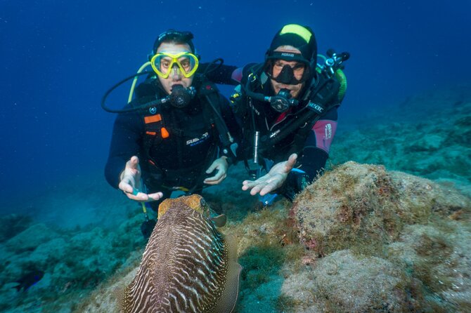 Discover Scuba Diving, Playa de las Americas - The Briefing That Makes the Water Session Feel Predictable