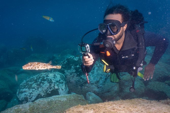 Discover Scuba Diving, Playa de las Americas - Las Vistas Beach: Practice Skills in Shallow, Walk-In Water
