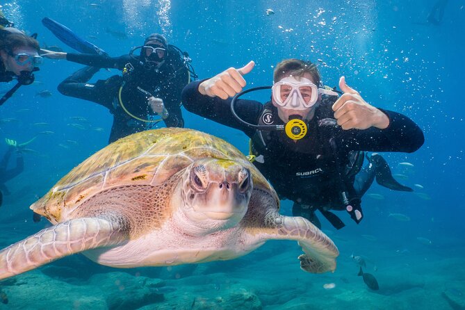 Discover Scuba Diving program: shore + boat dives - Getting There Without Taxi Hassles: Aqua-Marina Morning Flow